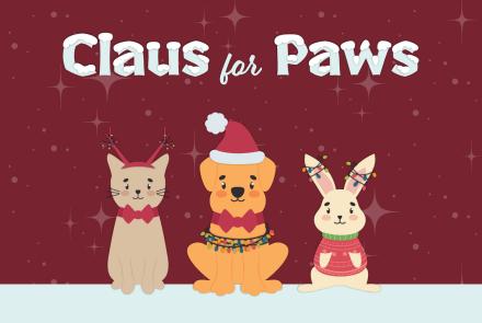 Illustration of a festive holiday scene featuring a cat with reindeer antlers, a dog wearing a Santa hat and wrapped in string lights, and a rabbit in a holiday sweater with lights on its ears, sitting below the “Claus for Paws” title on a red background with subtle star-like decorations.